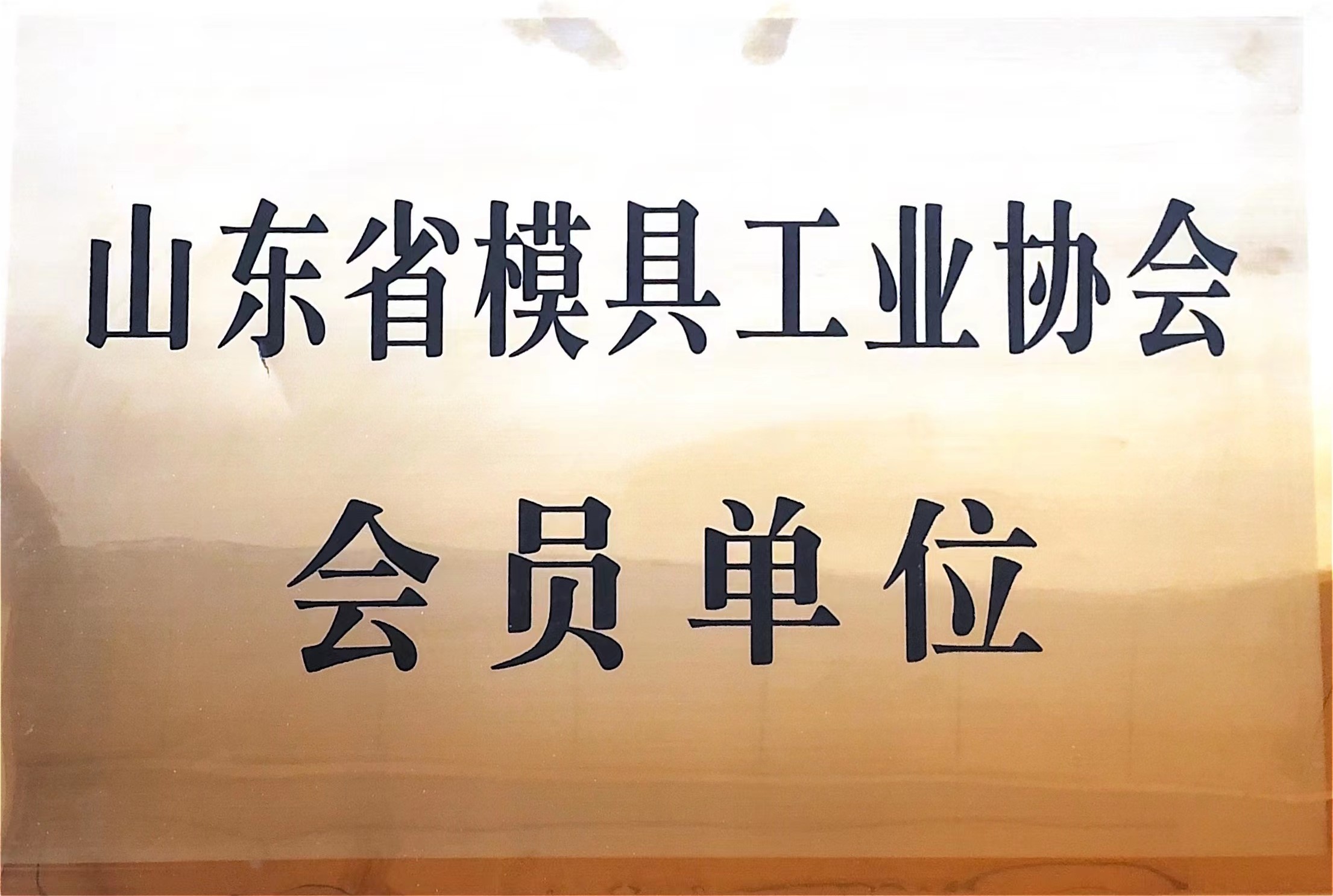 山東省模具工業協會會員單位